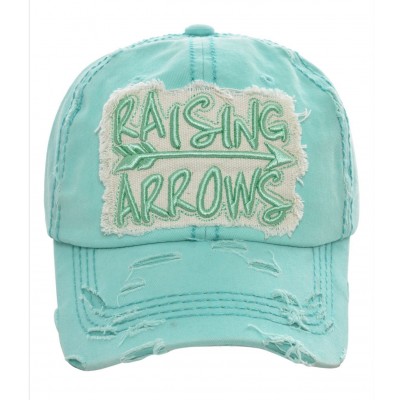 Raising Arrows Embroidered   Factory Distressed Baseball Cap Mint Hat  eb-70876092